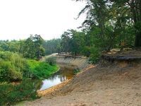 Natuurcamping De Kunne