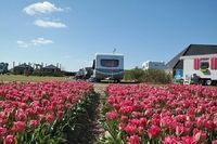 SVR Minicamping Duinzoomhoeve