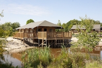 Camping Sallandshoeve