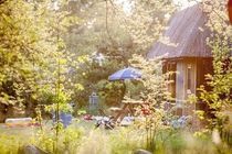 Vakantiepark/Camping Witterzomer