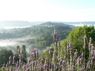 Foto van SVR Camping Hermitage Rochas Couchaud