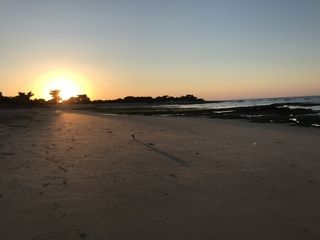 Foto van Camping Seasonova Les Portes en Ré