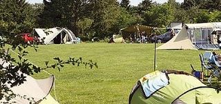 Foto van Vakantiepark/Camping Witterzomer