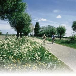 Foto van Camping Scheldeoord