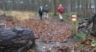 Foto van Boscamping Buitenlust