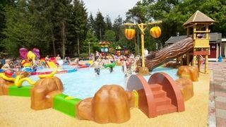 Foto van Vakantiepark Het Lierderholt