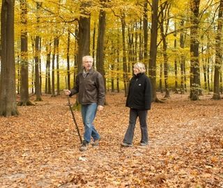 Foto van Vakantiepark Het Lierderholt